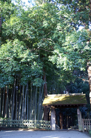 一の門と孟宗竹林